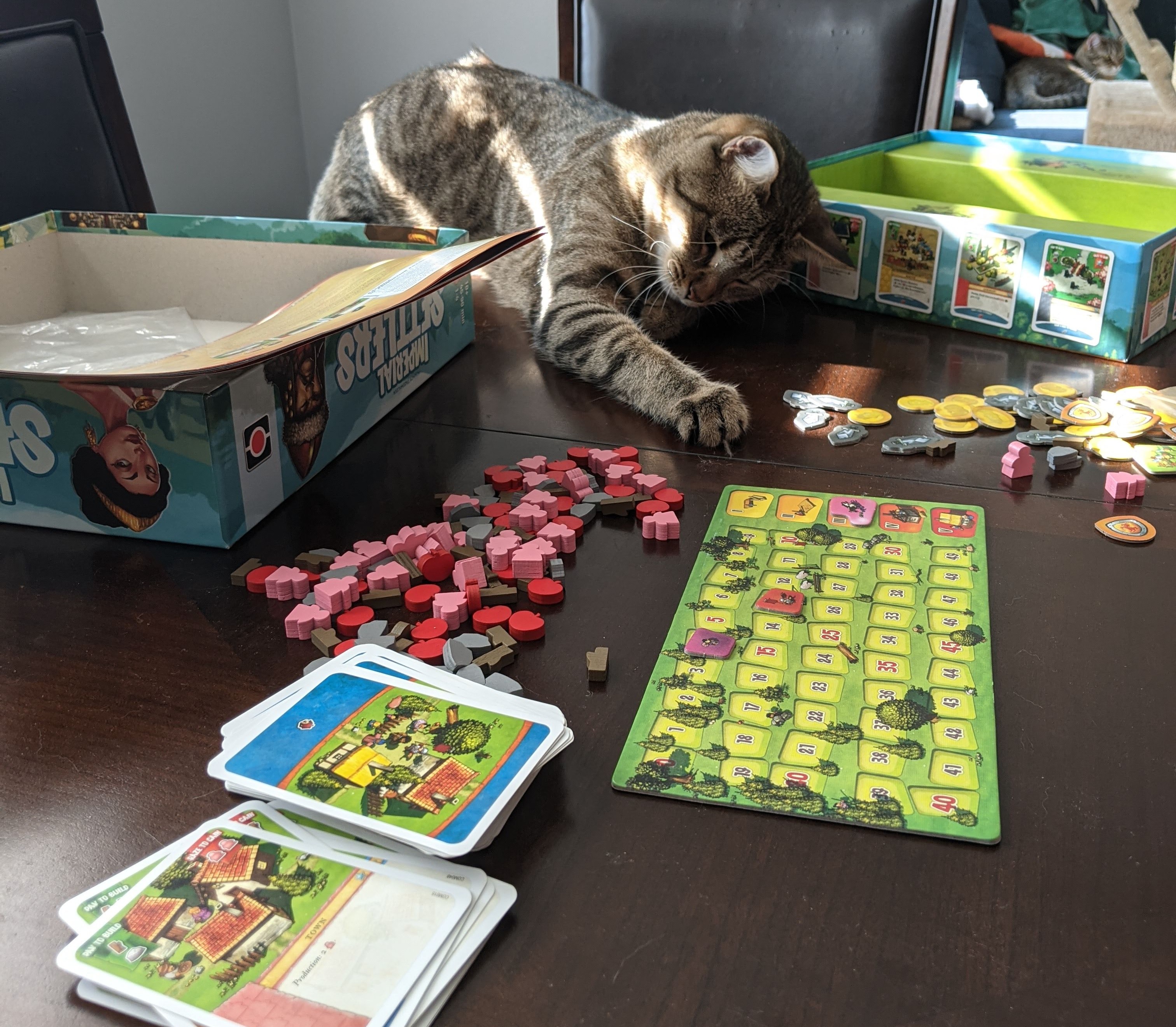 Cats interfering with board games