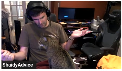 Cats interfering with streaming