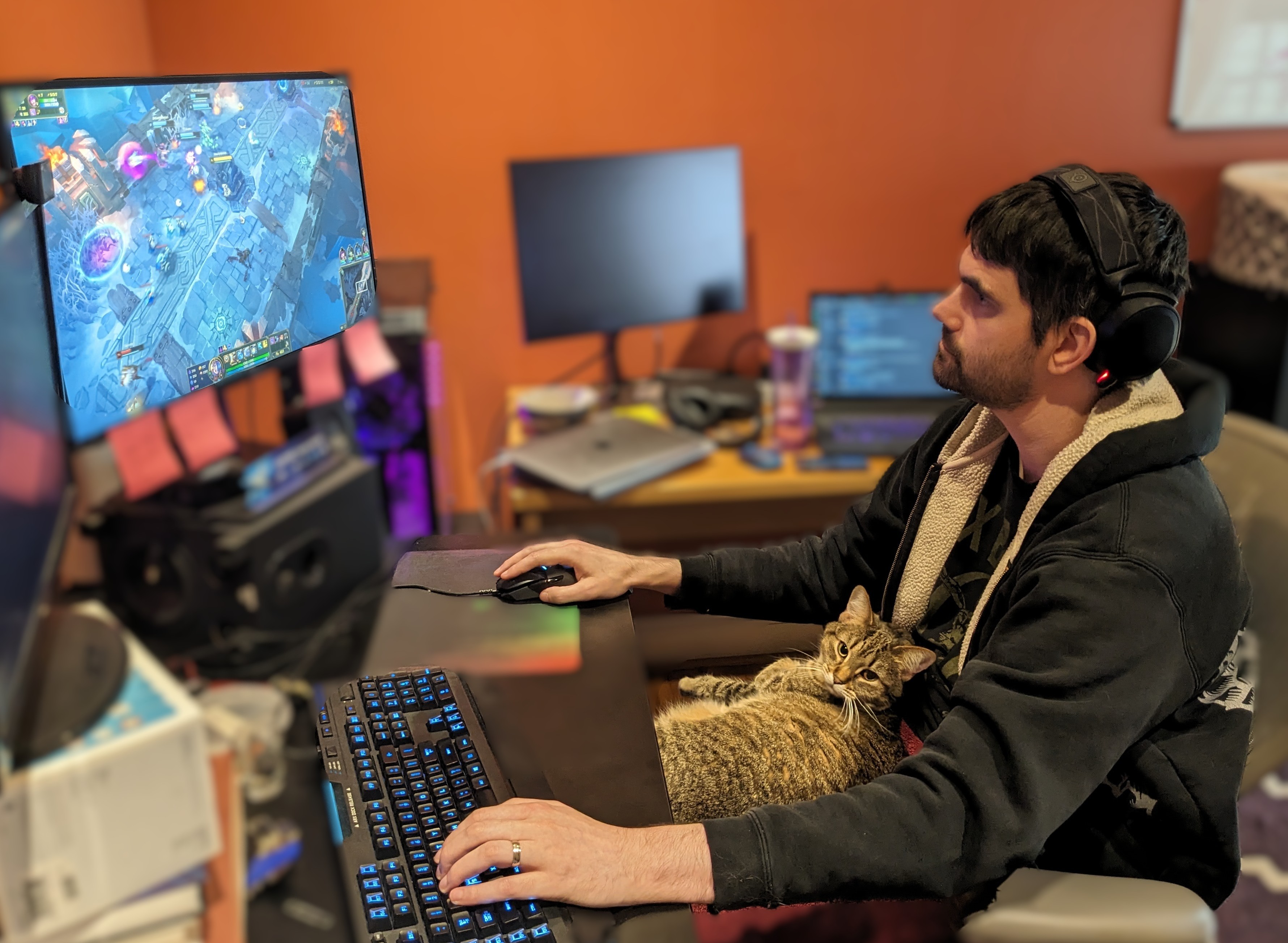 Cats interfering with PC gaming