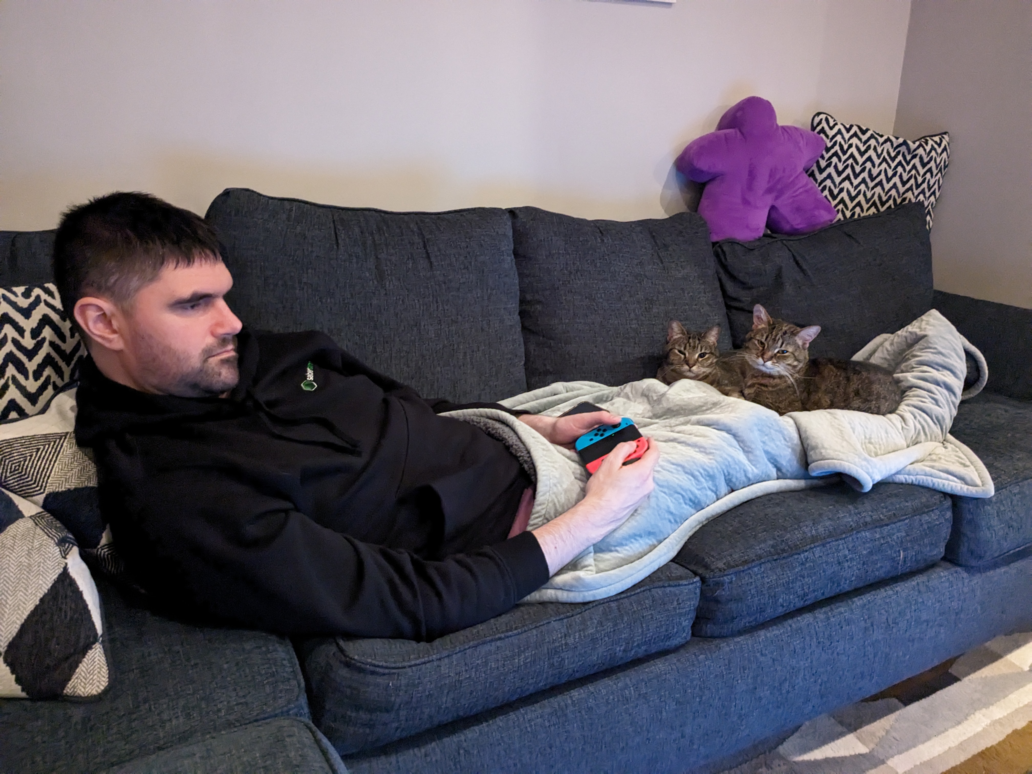 Cats interfering with console gaming